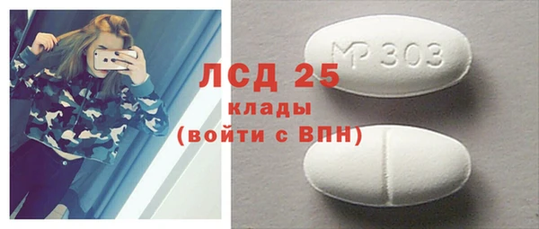 гидра Елизово