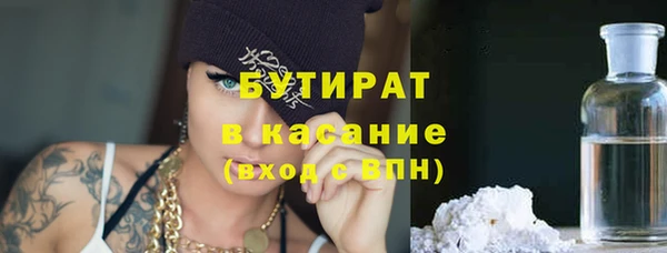 гидра Ельня
