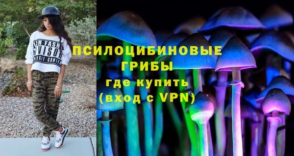 гидра Ельня