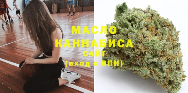 гидра Елизово