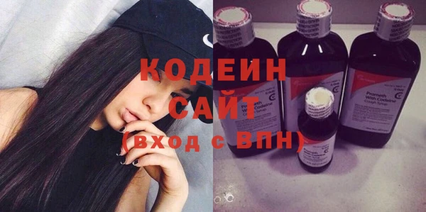 гидра Ельня