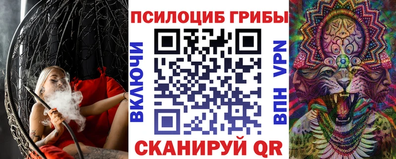Купить  Димитровград  Галлюциногенные грибы Psilocybe 